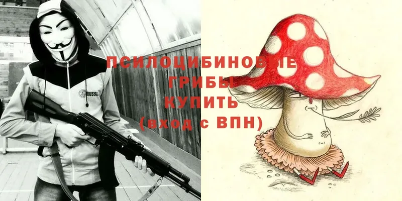 где найти   Выборг  гидра ТОР  Галлюциногенные грибы MAGIC MUSHROOMS 